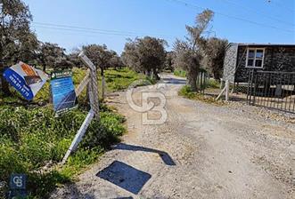 1303554709 TORBALI SAİPLER'DE SATILIK 400M2 HOBİ BAHÇESİ  - 4 - 340267