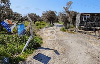 1303554709 TORBALI SAİPLER'DE SATILIK 400M2 HOBİ BAHÇESİ 