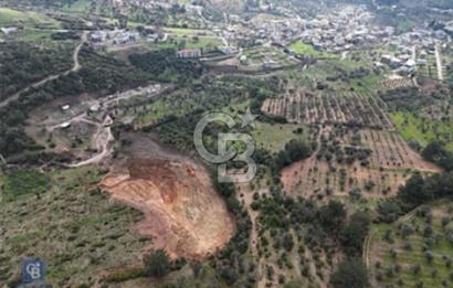 Kemalpaşa kuyucakta köye çok yakın 200m parseller