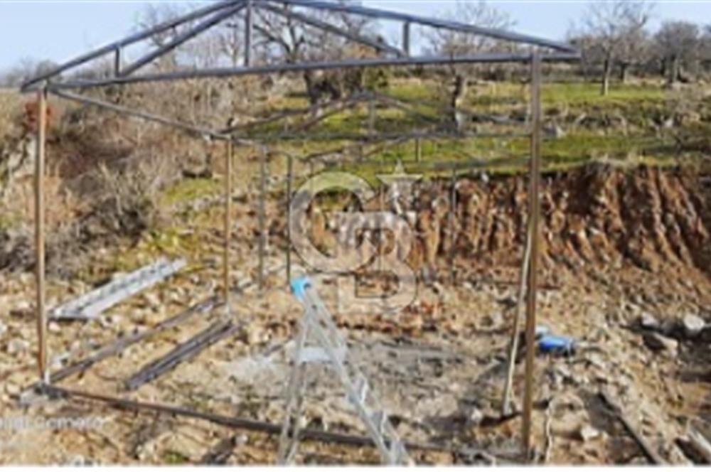 BERGAMA AVUNDUK'DA SATILIK TARLA 3769 M2