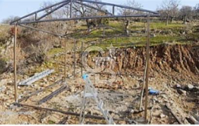 BERGAMA AVUNDUK'DA SATILIK TARLA 3769 M2