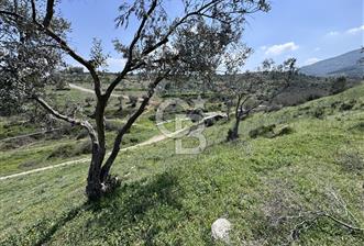 CB CITY’DEN BİLECİK OSMANELİ’DE KONUT İMARLI SATILIK ARSA  - 3 - 340275