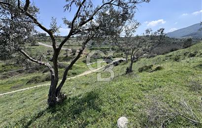 CB CITY’DEN BİLECİK OSMANELİ’DE KONUT İMARLI SATILIK ARSA 