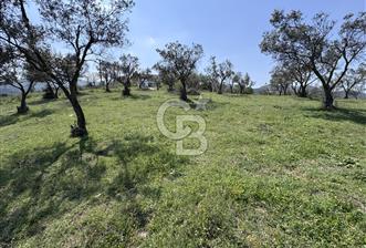 CB CITY'DEN BİLECİK OSMANELİ'DE KONUT İMARLI SATILIK ARSA - 2 - 340277