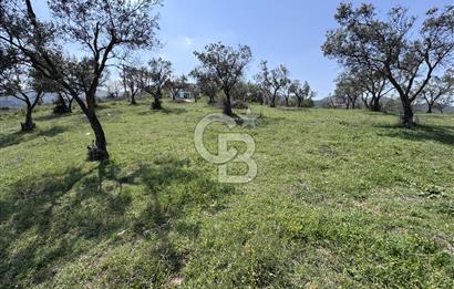 CB CITY'DEN BİLECİK OSMANELİ'DE KONUT İMARLI SATILIK ARSA