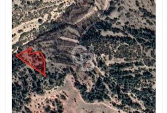 Korkuteli YELTEN de Ormana bitişik 2800m2 Takasa açık - 3 - 340323