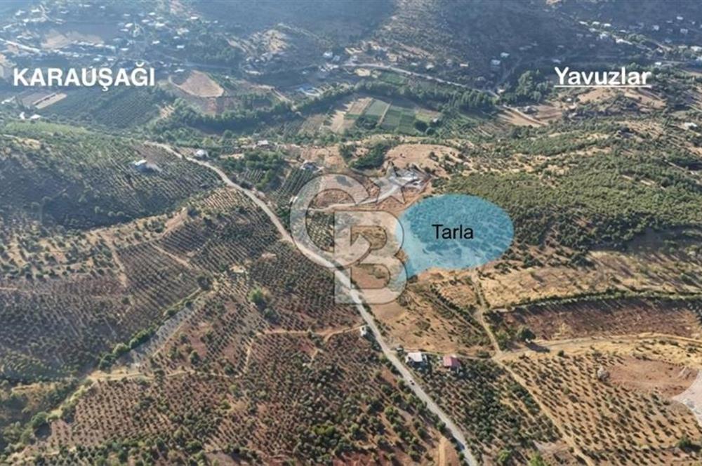 CB'DEN YEŞİLYÖRE KARAUŞAĞINDA (19,853 m2) SATILIK TARLA