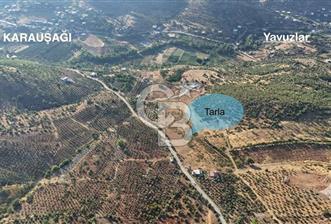 CB'DEN YEŞİLYÖRE KARAUŞAĞINDA (19,853 m2) SATILIK TARLA - 1 - 340368