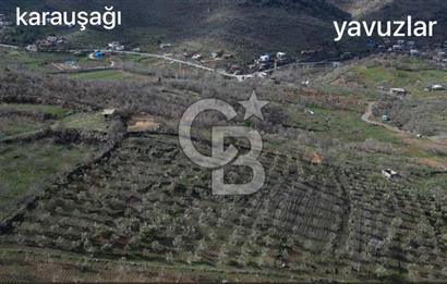 COLDWELL BANKERDEN YEŞİLYÖREDE ZEYTİNLİK