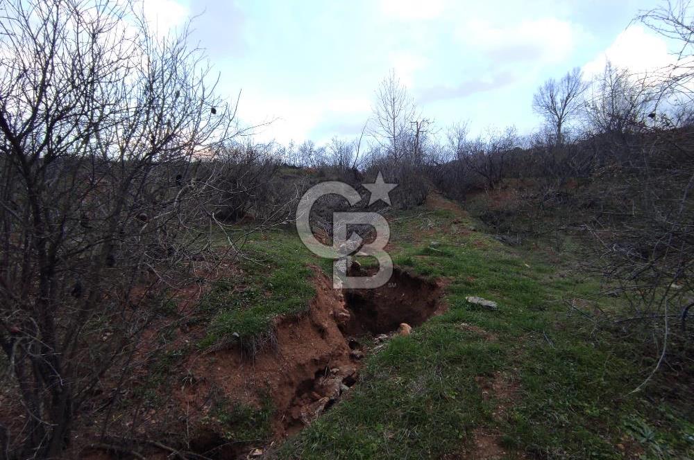 CB'DEN YEŞİLYÖREDE (1.597m2) TEK TAPU TARLA