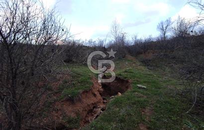 CB'DEN YEŞİLYÖREDE (1.597m2) TEK TAPU TARLA