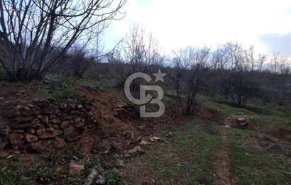 CB'DEN YEŞİLYÖREDE (1.597m2) TEK TAPU TARLA