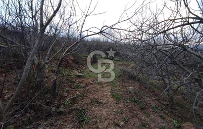 CB'DEN YEŞİLYÖREDE (1.597m2) TEK TAPU TARLA