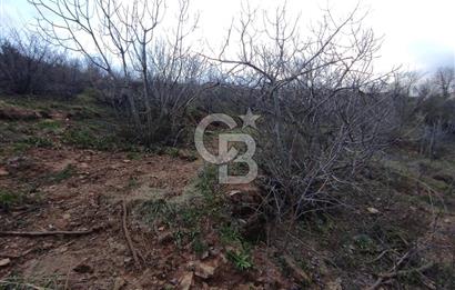 CB'DEN YEŞİLYÖREDE (1.597m2) TEK TAPU TARLA