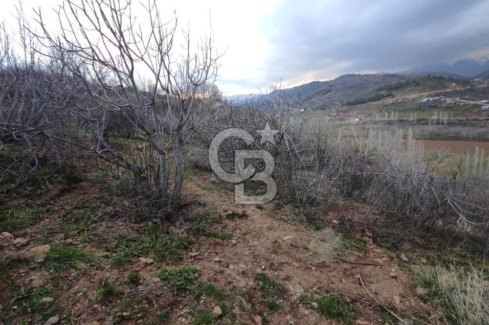 CB'DEN YEŞİLYÖREDE (1.597m2) TEK TAPU TARLA