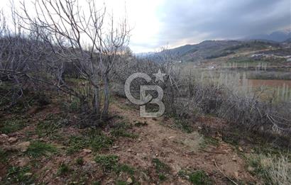 CB'DEN YEŞİLYÖREDE (1.597m2) TEK TAPU TARLA