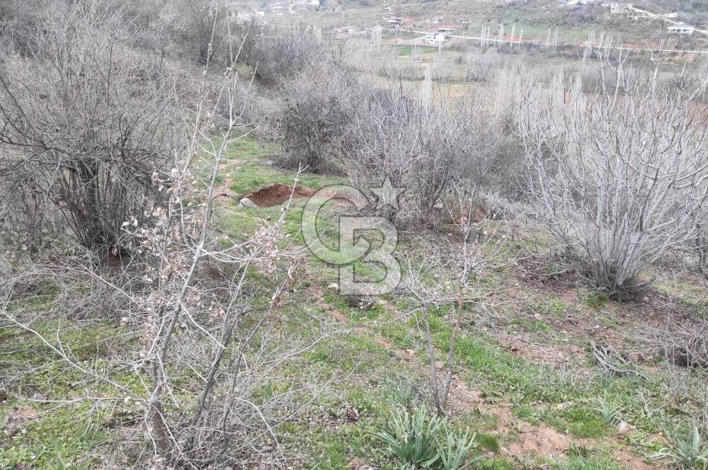 CB'DEN YEŞİLYÖREDE (1.597m2) TEK TAPU TARLA