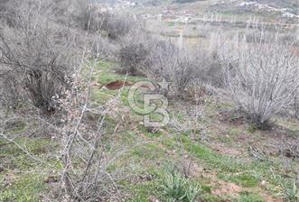 CB'DEN YEŞİLYÖREDE (1.597m2) TEK TAPU TARLA - 1 - 340286