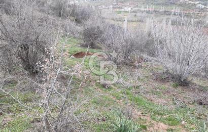 CB'DEN YEŞİLYÖREDE (1.597m2) TEK TAPU TARLA