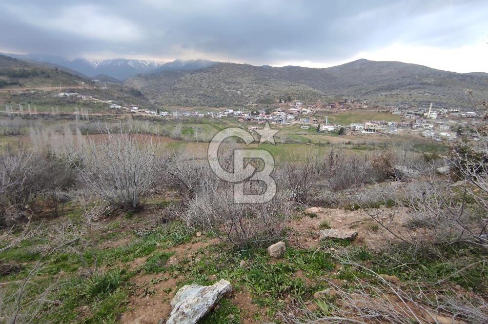 CB'DEN YEŞİLYÖREDE (1.597m2) TEK TAPU TARLA