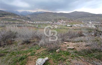 CB'DEN YEŞİLYÖREDE (1.597m2) TEK TAPU TARLA