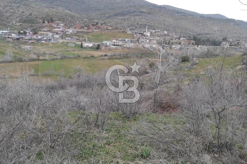 CB'DEN YEŞİLYÖREDE (1.597m2) TEK TAPU TARLA