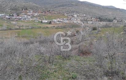 CB'DEN YEŞİLYÖREDE (1.597m2) TEK TAPU TARLA