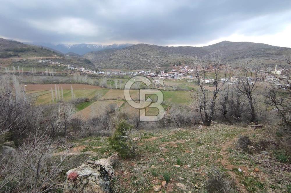 CB'DEN YEŞİLYÖREDE (1.597m2) TEK TAPU TARLA