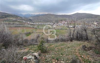 CB'DEN YEŞİLYÖREDE (1.597m2) TEK TAPU TARLA