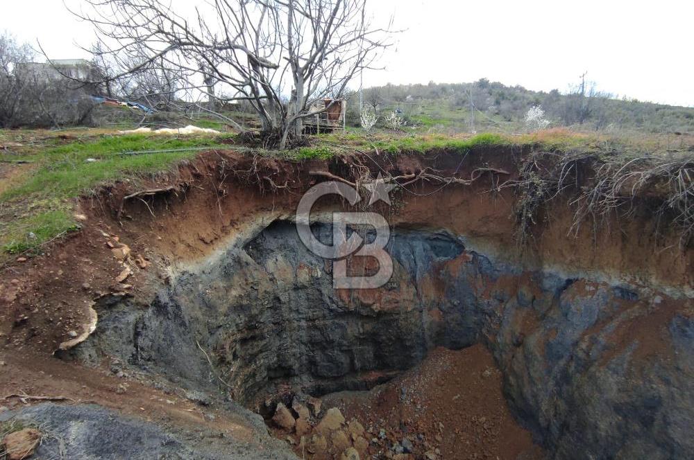 CB'DEN YEŞİLYÖREDE SATILIK FIRSAT ZEYTİNLİK