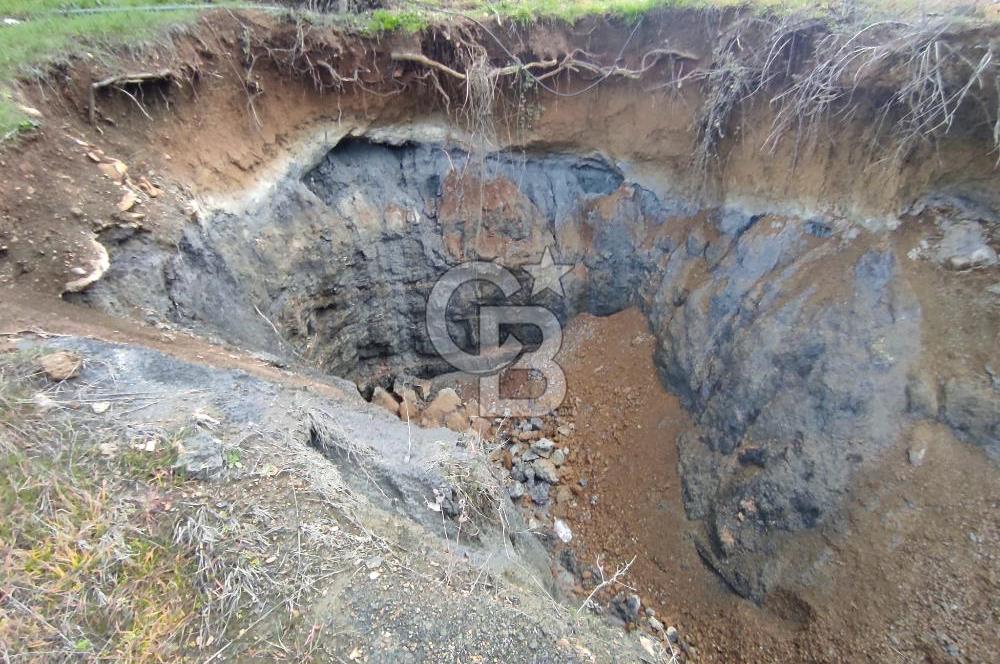 CB'DEN YEŞİLYÖREDE SATILIK FIRSAT ZEYTİNLİK