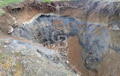 CB'DEN YEŞİLYÖREDE SATILIK FIRSAT ZEYTİNLİK