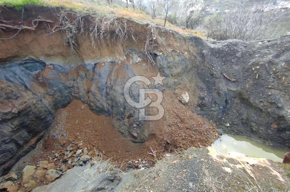 CB'DEN YEŞİLYÖREDE SATILIK FIRSAT ZEYTİNLİK