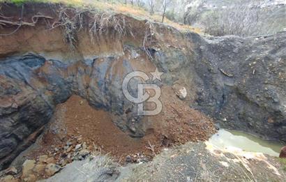 CB'DEN YEŞİLYÖREDE SATILIK FIRSAT ZEYTİNLİK