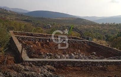 CB'DEN YEŞİLYÖREDE SATILIK FIRSAT TARLA