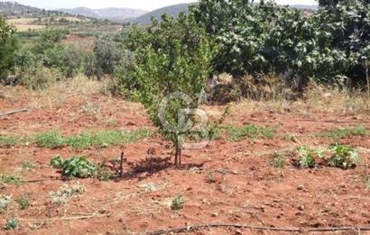 CB'DEN YEŞİLYÖREDE SATILIK FIRSAT TARLA