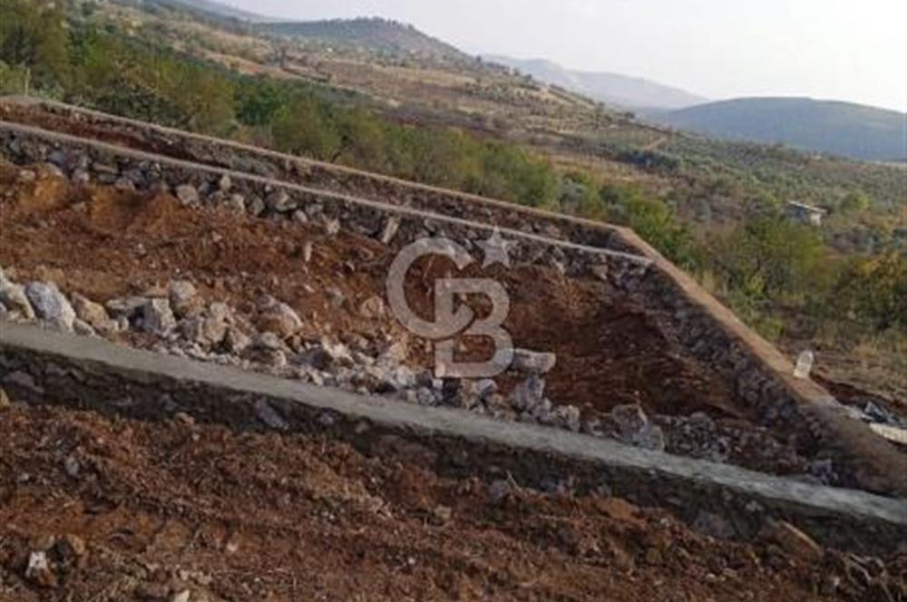 CB'DEN YEŞİLYÖREDE SATILIK FIRSAT TARLA