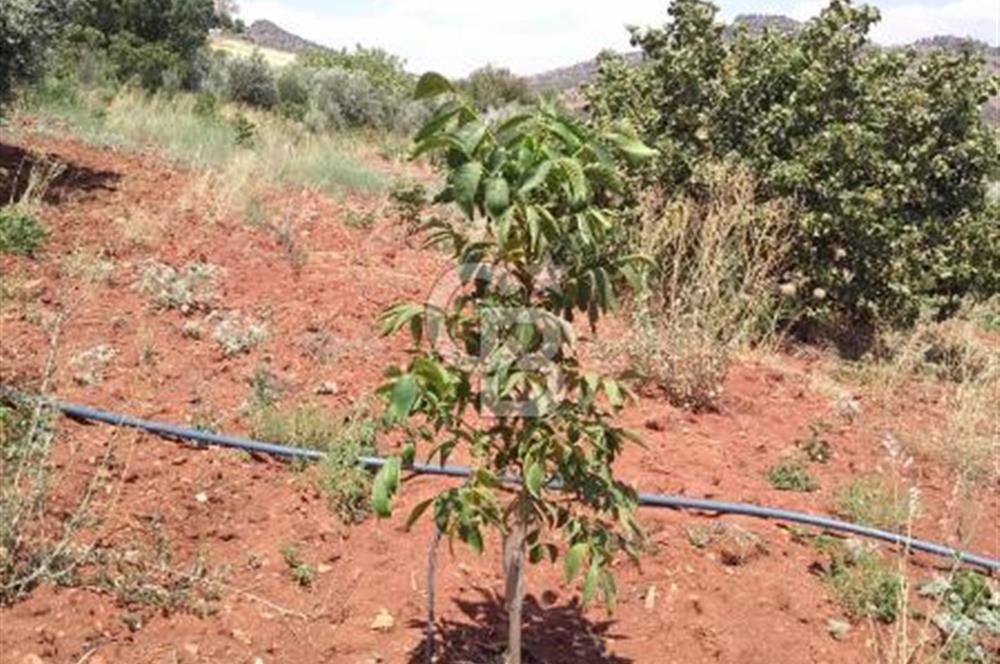 CB'DEN YEŞİLYÖREDE SATILIK FIRSAT TARLA