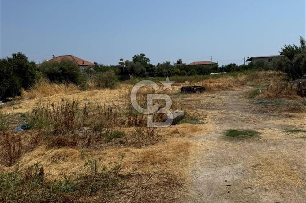 Muğla Milas Ören Mahallesi’nde Satılık Müstakil Ev ve Bahçe