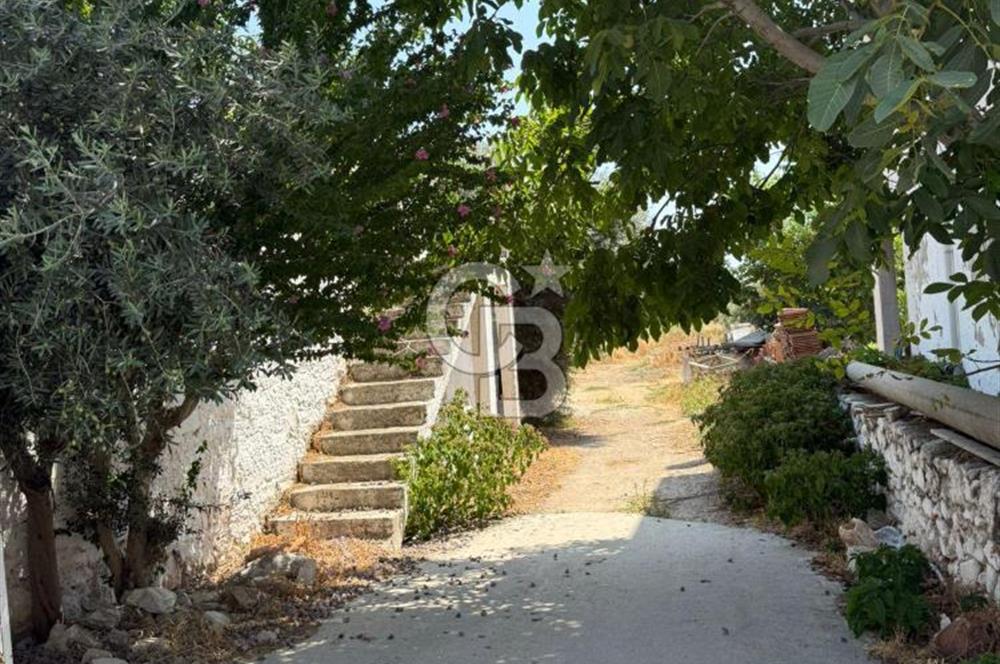 Muğla Milas Ören Mahallesi’nde Satılık Müstakil Ev ve Bahçe