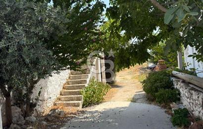 Muğla Milas Ören Mahallesi’nde Satılık Müstakil Ev ve Bahçe