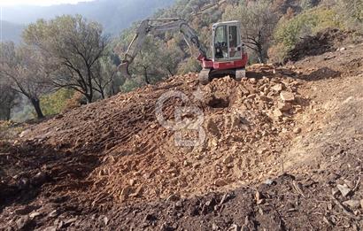 Payamlı Köyü Yakını Değer Kazanan Bölgede 3864 m2 Zeytinlik