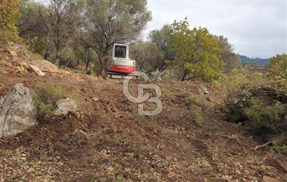 Payamlı Köyü Yakını Değer Kazanan Bölgede 3864 m2 Zeytinlik