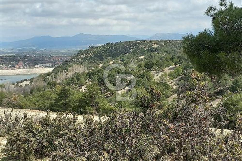 Korkuteli YELTEN de Ormana bitişik 2800m2 Takasa açık