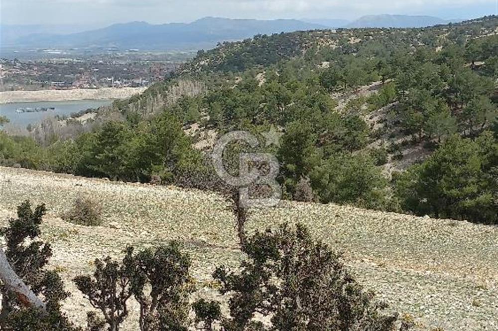 Korkuteli YELTEN de Ormana bitişik 2800m2 Takasa açık