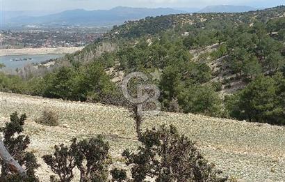 Korkuteli YELTEN de Ormana bitişik 2800m2 Takasa açık