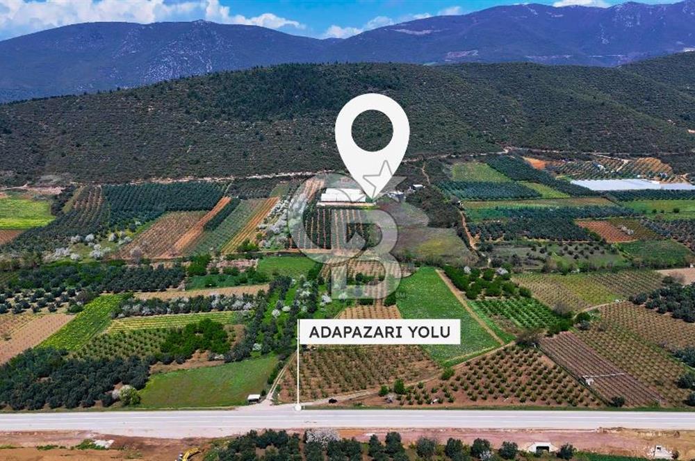 İznik Çiçek'lide Yatırıma Hazır 6.333 m² Tam Donanımlı Çiftlik