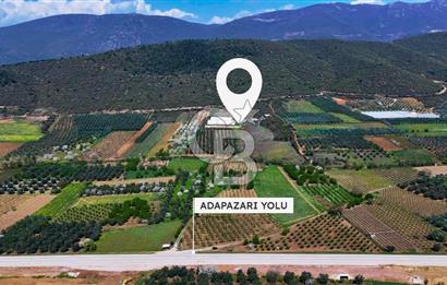 İznik Çiçek'lide Yatırıma Hazır 6.333 m² Tam Donanımlı Çiftlik