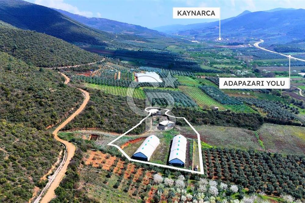 İznik Çiçek'lide Yatırıma Hazır 6.333 m² Tam Donanımlı Çiftlik