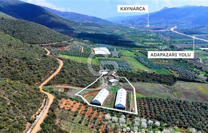 İznik Çiçek'lide Yatırıma Hazır 6.333 m² Tam Donanımlı Çiftlik